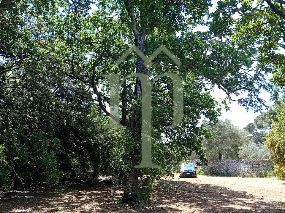 Tomt i Ostuni, Brindisi - bilde 3